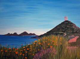 Iles Sanguinaires Ajaccio