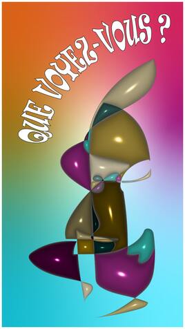 Que voyez-vous ?