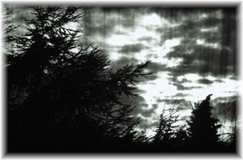 Le calme avant la temp&ecirc;te