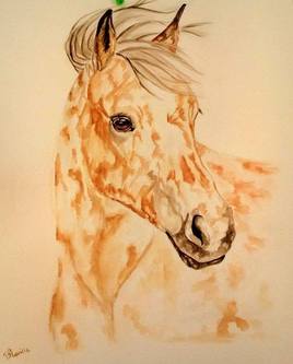 Nini poney aquarelle