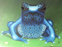 grenouille bleue