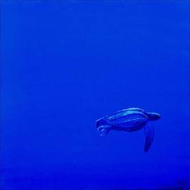 FAUNE : Evolution marine 3