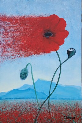 Coquelicot proven&ccedil;al