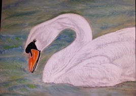 le cygne
