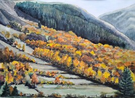 mélèzes dans le Gapançais