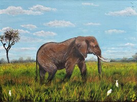 Le calme de la savane - Savannah stillness