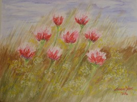 Les &eacute;chevel&eacute;es