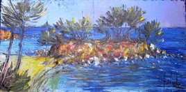 Presqu'&icirc;le de Capelan