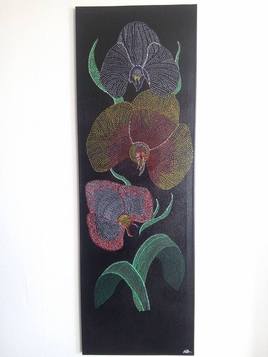 les orchidées d'émilie