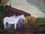 le cheval blanc