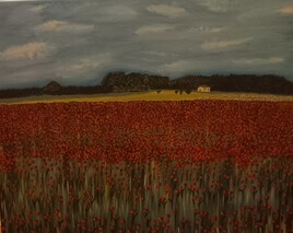 Champs de coquelicot