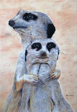 Les suricates