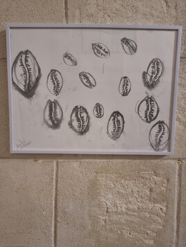 Le discours des coquillages, 2023