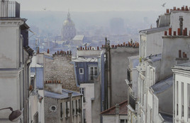 10 pigeons et les toits de Paris