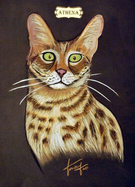 Collections de 12 &oelig;uvres  Chats Dieux   ATHENA