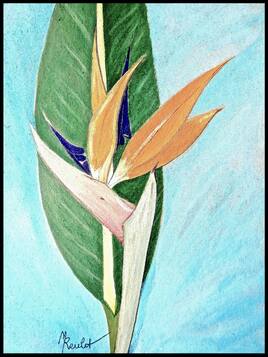 L&rsquo;oiseau de paradis /  Painting : a flower of Strelitzia