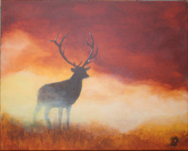 Cerf dans le brouillard