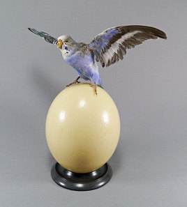 Touche pas à mon oeuf.