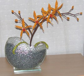 Orchidée orange