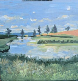 Zone humide à protéger