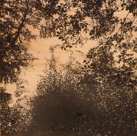 Dentelle v&eacute;g&eacute;tale