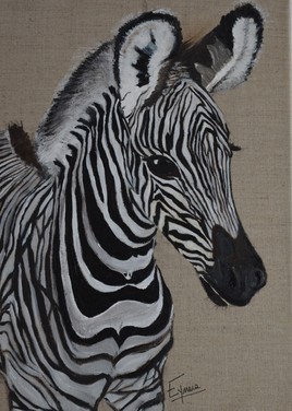 BEBE ZEBRE