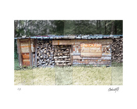 Le bois pi&eacute;g&eacute;