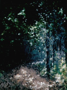 For&ecirc;t noire