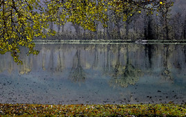 Automne au lac