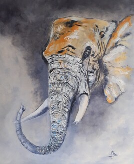Tète d'éléphant