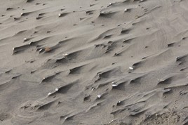 Dunes en formation