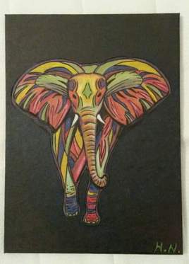 elephant multicolore