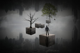 Kevin Ferreira Digital Arts