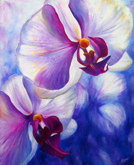 orchid&eacute;es celestes