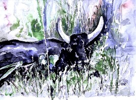 rencontre &agrave; Aigues Morte