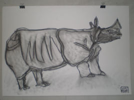 Rhinoceros aux aguets