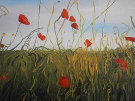 Coquelicots