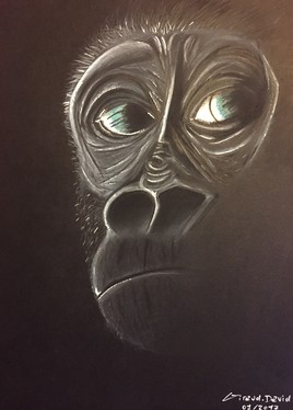 Angoisse du bébé singe