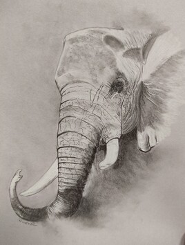 L'éléphant 1