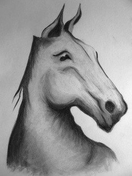 Equus