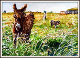 Dans les hautes herbes Dans les hautes herbes