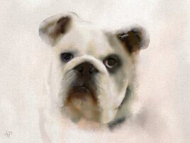 Wouaf   !!  wouaf  !!