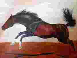 cheval baie br&ucirc;l&eacute; au galop