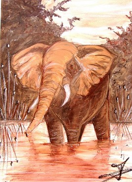 Le grand &eacute;l&eacute;phant d'afrique