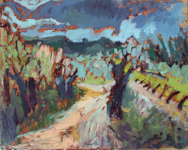 Oliviers, champ d'oliviers &agrave; Caromb