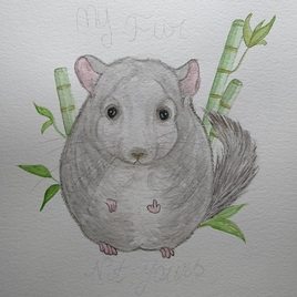 Ma fourrure, pas la tienne ! (Final)