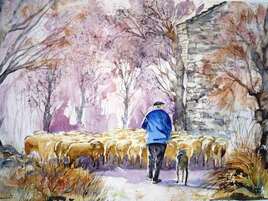 Moutons et berger