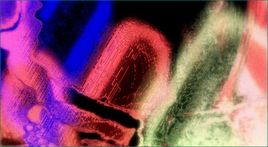 Naha Noo Dehorizon Gr&eacute;hed Ez.JPG