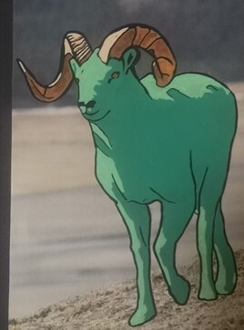 Randonn&eacute;es Solitaires