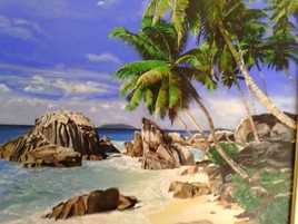 paysage des seychelles